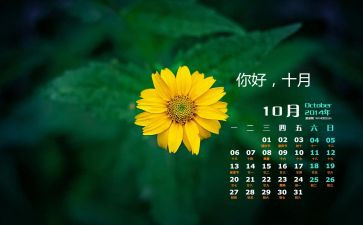 10月一作文8篇