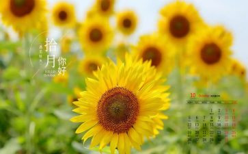 学生会10月份工作总结6篇