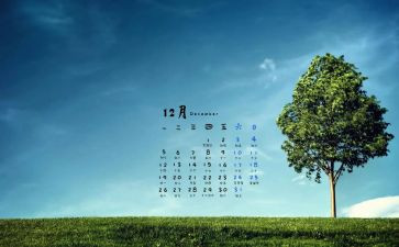 2024年12月工作总结8篇