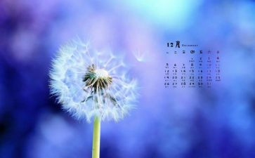 2024年12月工作总结最新8篇
