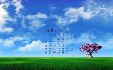 12月份教师心得8篇
