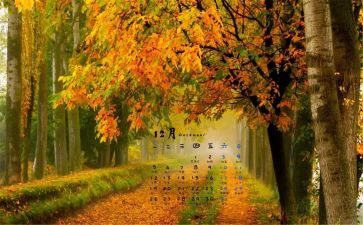12月份学生会工作计划5篇