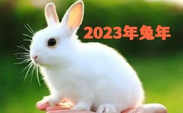 个人2023销售工作总结精选5篇
