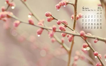 保育4月工作总结5篇