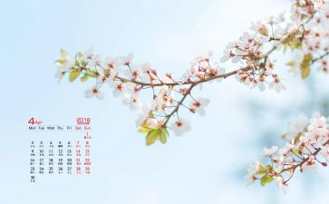 工会工作计划2024月计划参考6篇