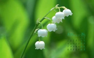 4月份的月度工作总结7篇