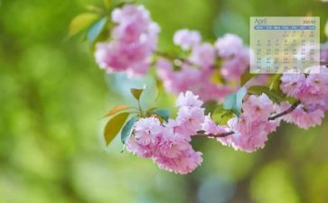 工会工作计划2024月计划5篇