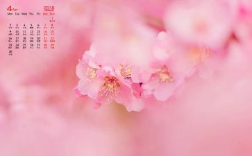 中班4月工作计划6篇