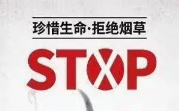 531工作计划范文精选5篇