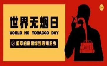 教师531工作计划通用6篇