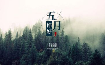 中班幼儿5月份工作计划8篇