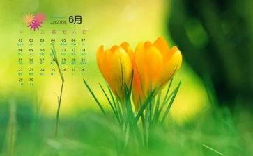 6月份教师工作总结8篇