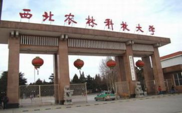 985大学生党员思想汇报7篇