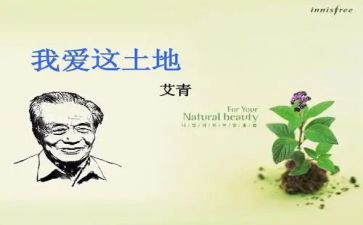 艾青的树的读后感最新6篇
