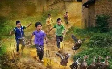 八零后辞职申请书8篇