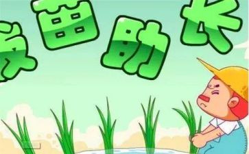 拔苗助长,读后感通用7篇