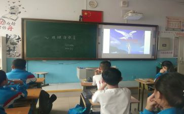 班会课活动策划精选5篇
