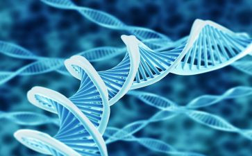 医院生物实验室安全自查报告5篇