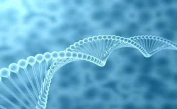 中学生物实验室工作计划7篇