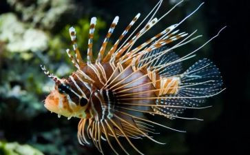 初二生物上工作计划5篇