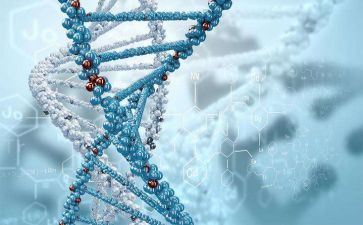 微生物实验室自查报告7篇
