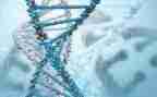 生物教师的述职报告7篇