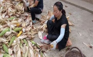 剥玉米教案反思8篇