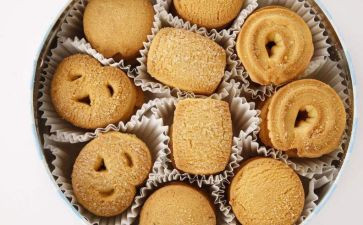 小老鼠吃饼干教案5篇