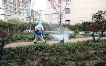 镇病媒生物防制工作计划8篇