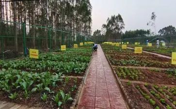 川湘菜活动策划精选8篇