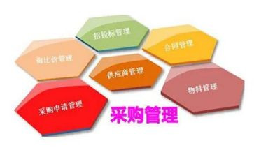 2024年采购工作个人述职报告6篇