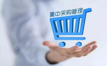 采购工作总结优质6篇