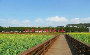 才溪精神心得7篇