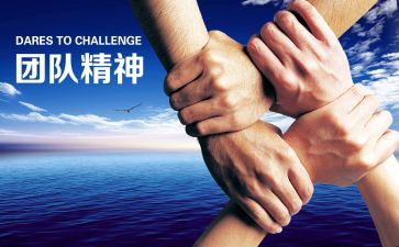 大型策划方案模板7篇