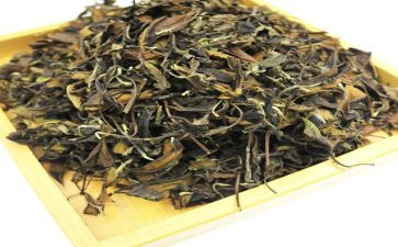 茶文化活动方案最新7篇
