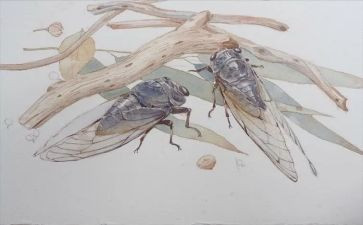 仿写《蝉》的作文优秀6篇