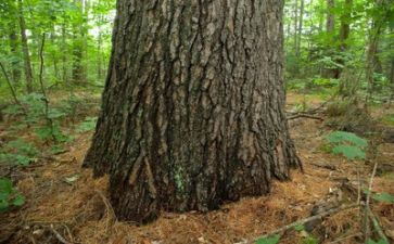 关于成长作文优秀7篇