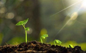 我成长中的一件事作文通用8篇