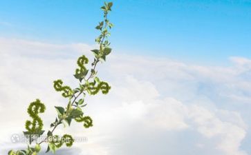 成长感悟500字作文优秀8篇
