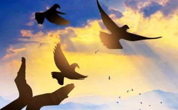 关于成就梦想的作文6篇