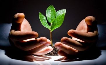 创业调研报告模板8篇