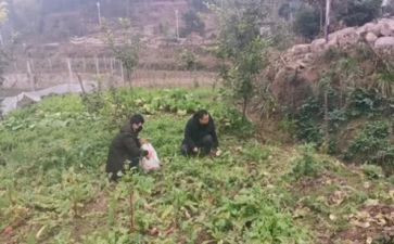 川农毕业自我鉴定范文最新8篇