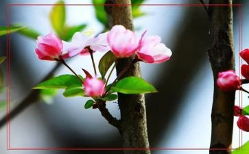 以春节为题的作文500字7篇