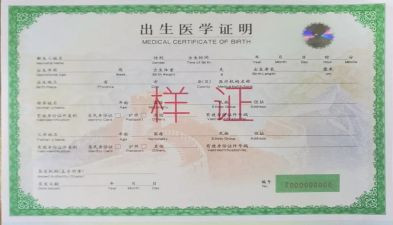 补办出生证明申请书5篇