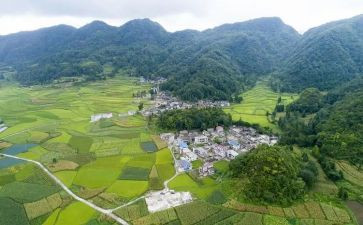 村干部2024年个人述职报告参考6篇