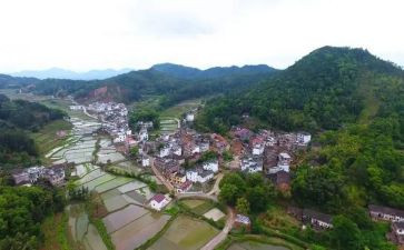 村委个人述职报告6篇