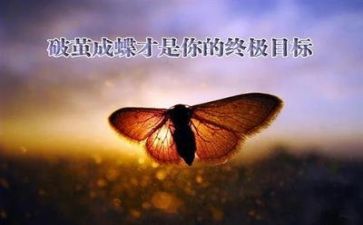 面对挫折600字作文5篇