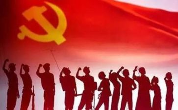 党会个人总结报告精选6篇