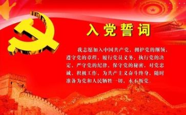 团党委工作报告8篇