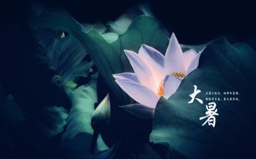 24节气大暑教案6篇